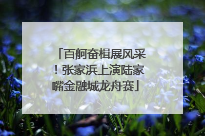 百舸奋楫展风采！张家浜上演陆家嘴金融城龙舟赛