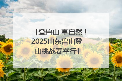登鲁山 享自然！2025山东鲁山登山挑战赛举行