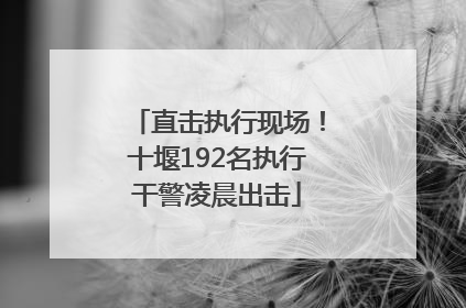 直击执行现场！十堰192名执行干警凌晨出击