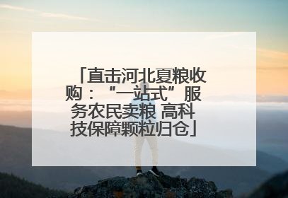 直击河北夏粮收购：“一站式”服务农民卖粮 高科技保障颗粒归仓