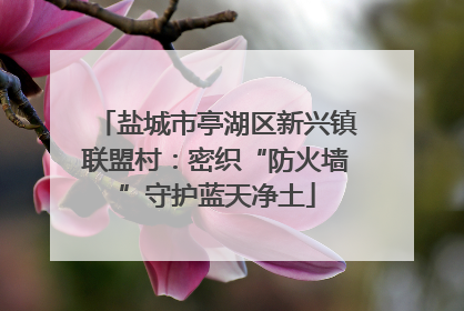 盐城市亭湖区新兴镇联盟村：密织“防火墙”守护蓝天净土