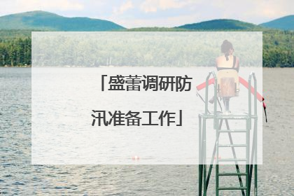 盛蕾调研防汛准备工作