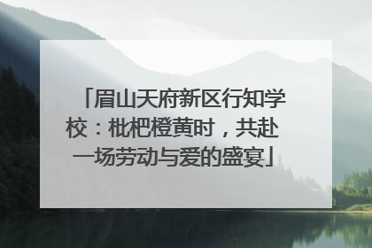 眉山天府新区行知学校：枇杷橙黄时，共赴一场劳动与爱的盛宴