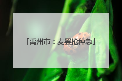 禹州市：麦罢抢种急
