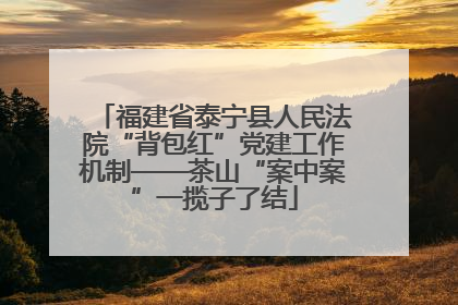 福建省泰宁县人民法院“背包红”党建工作机制——茶山“案中案”一揽子了结