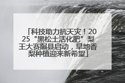 科技助力抗天灾！2025“黑松土活化肥”梨王大赛隰县启动，旱地香梨种植迎来新希望