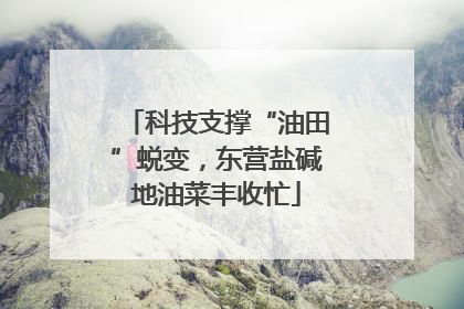 科技支撑“油田”蜕变，东营盐碱地油菜丰收忙