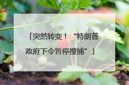 突然转变！“特朗普政府下令暂停搜捕”