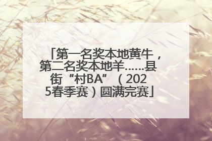 第一名奖本地黄牛，第二名奖本地羊……县街“村BA”（2025春季赛）圆满完赛