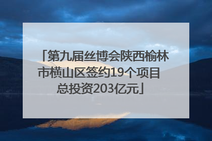 第九届丝博会陕西榆林市横山区签约19个项目 总投资203亿元