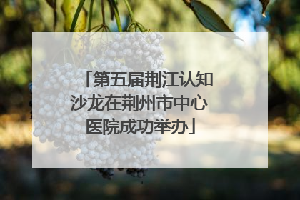 第五届荆江认知沙龙在荆州市中心医院成功举办