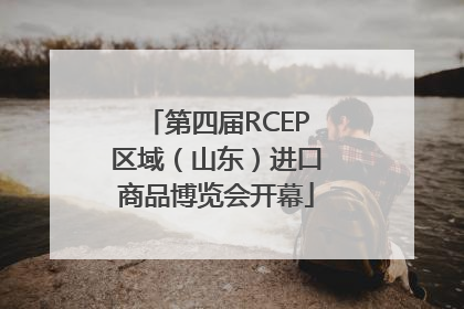 第四届RCEP区域（山东）进口商品博览会开幕