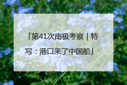 第41次南极考察｜特写：港口来了中国船