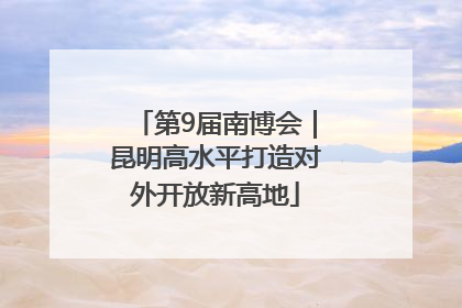 第9届南博会｜昆明高水平打造对外开放新高地