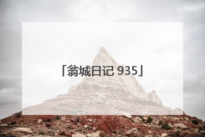 翁城日记 935