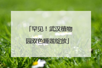 罕见！武汉植物园双色睡莲绽放