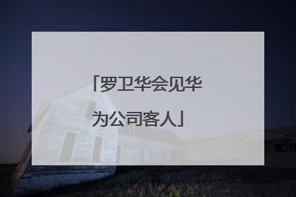 罗卫华会见华为公司客人