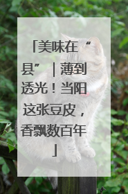 美味在“县”｜薄到透光！当阳这张豆皮，香飘数百年