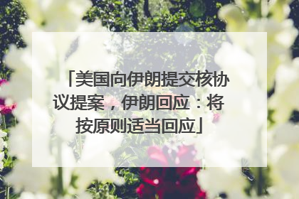 美国向伊朗提交核协议提案，伊朗回应：将按原则适当回应