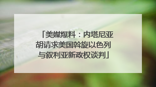 美媒爆料：内塔尼亚胡请求美国斡旋以色列与叙利亚新政权谈判