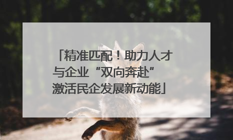 精准匹配！助力人才与企业“双向奔赴” 激活民企发展新动能