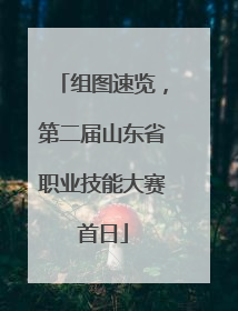 组图速览，第二届山东省职业技能大赛首日