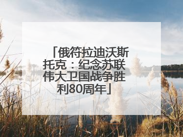 俄符拉迪沃斯托克：纪念苏联伟大卫国战争胜利80周年