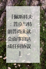 佩斯科夫：普京与特朗普尚未就会面事宜达成任何协议