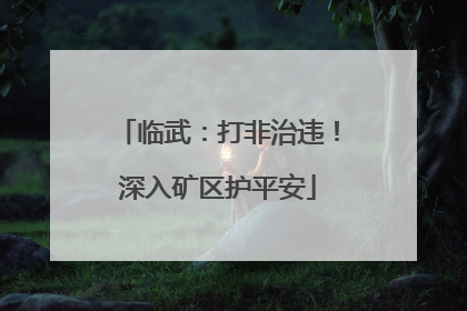 临武：打非治违！深入矿区护平安