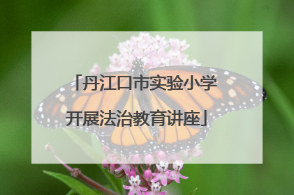丹江口市实验小学开展法治教育讲座