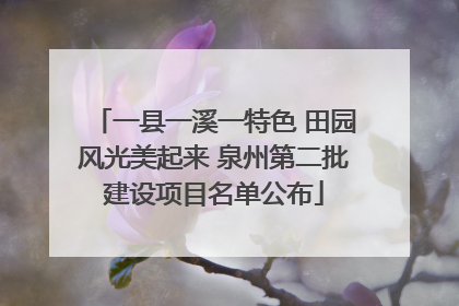一县一溪一特色 田园风光美起来 泉州第二批建设项目名单公布