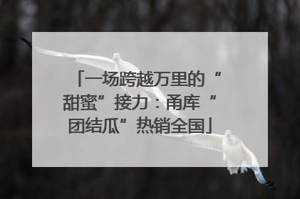 一场跨越万里的“甜蜜”接力：甬库“团结瓜”热销全国
