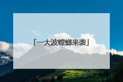 一大波螳螂来袭