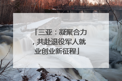 三亚：凝聚合力，共赴退役军人就业创业新征程
