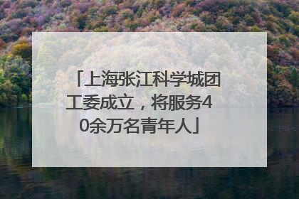 上海张江科学城团工委成立，将服务40余万名青年人