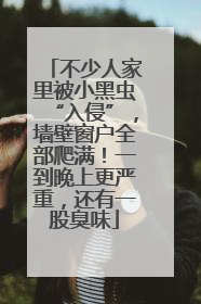 不少人家里被小黑虫“入侵”，墙壁窗户全部爬满！一到晚上更严重，还有一股臭味