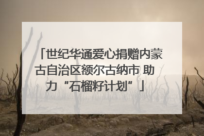 世纪华通爱心捐赠内蒙古自治区额尔古纳市 助力“石榴籽计划”