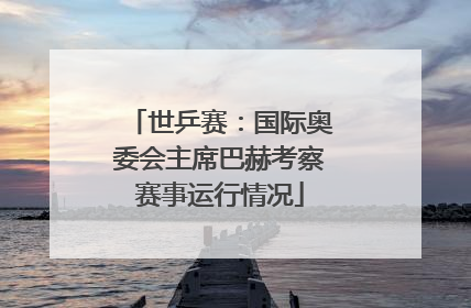 世乒赛：国际奥委会主席巴赫考察赛事运行情况