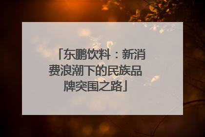 东鹏饮料：新消费浪潮下的民族品牌突围之路