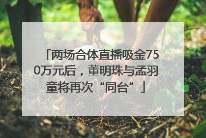 两场合体直播吸金750万元后，董明珠与孟羽童将再次“同台”