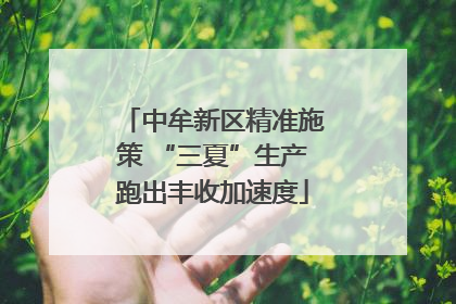 中牟新区精准施策 “三夏”生产跑出丰收加速度