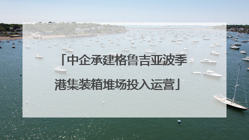 中企承建格鲁吉亚波季港集装箱堆场投入运营