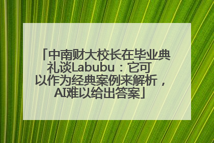 中南财大校长在毕业典礼谈Labubu：它可以作为经典案例来解析，AI难以给出答案