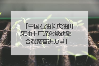 中国石油长庆油田采油十厂深化党建融合凝聚奋进力量