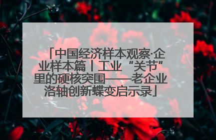 中国经济样本观察·企业样本篇丨工业“关节”里的硬核突围——老企业洛轴创新蝶变启示录