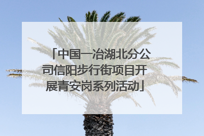 中国一冶湖北分公司信阳步行街项目开展青安岗系列活动