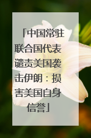 中国常驻联合国代表谴责美国袭击伊朗：损害美国自身信誉