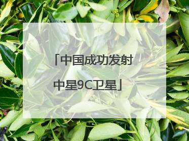 中国成功发射中星9C卫星