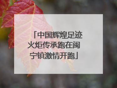 中国辉煌足迹火炬传承跑在闽宁镇激情开跑