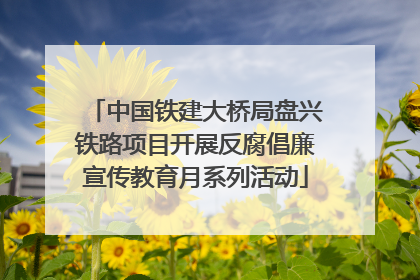 中国铁建大桥局盘兴铁路项目开展反腐倡廉宣传教育月系列活动